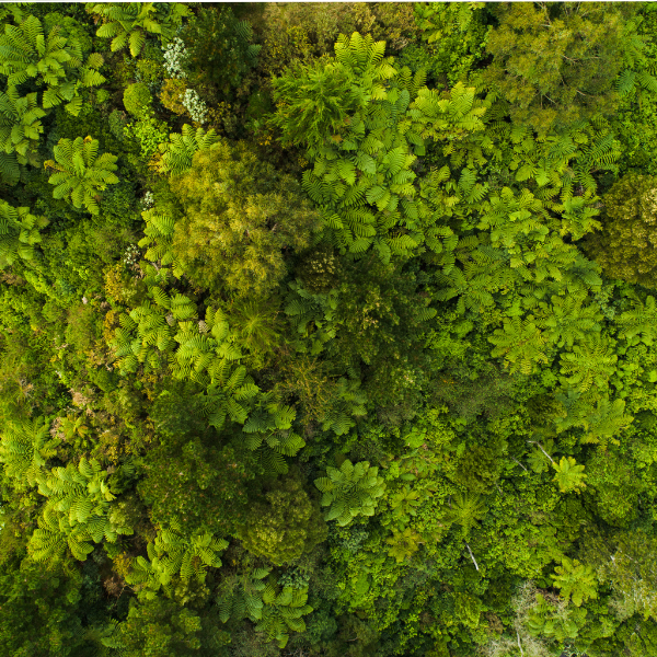 Sustainability Commitment